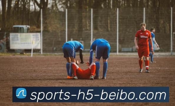 贝博体育服务体系